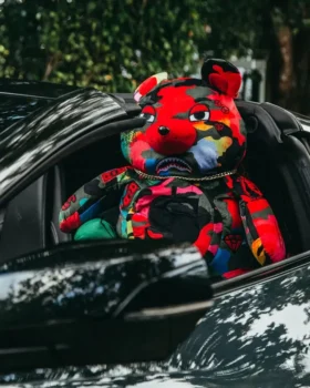 CAMOBURST MONEYBEAR TEDDYBEAR RUCKSACK