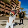 DIE MONEYBOYS HABEN DEN AUFTRAG VERSTANDEN