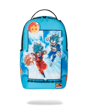 DRAGON BALL Z SUPER SAIYAN BLUE GOKU UND VEGETA