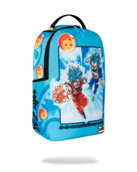 DRAGON BALL Z SUPER SAIYAN BLUE GOKU UND VEGETA