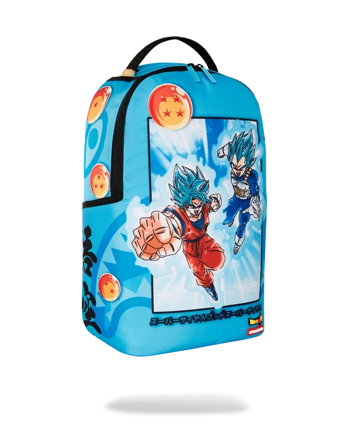 DRAGON BALL Z SUPER SAIYAN BLUE GOKU UND VEGETA