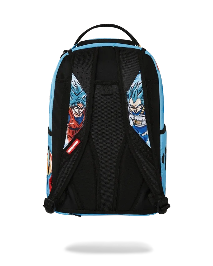 DRAGON BALL Z SUPER SAIYAN BLUE GOKU UND VEGETA