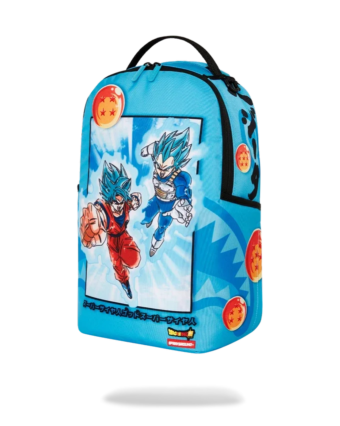 DRAGON BALL Z SUPER SAIYAN BLUE GOKU UND VEGETA