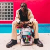 MIAMI VICE WINGS UP RUCKSACK (DLXV)