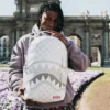 MONEY PATTERN POWDER RUCKSACK (DLXV)