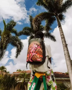 PINK PANTHER CAN’T CATCH ME DLXR-Rucksack