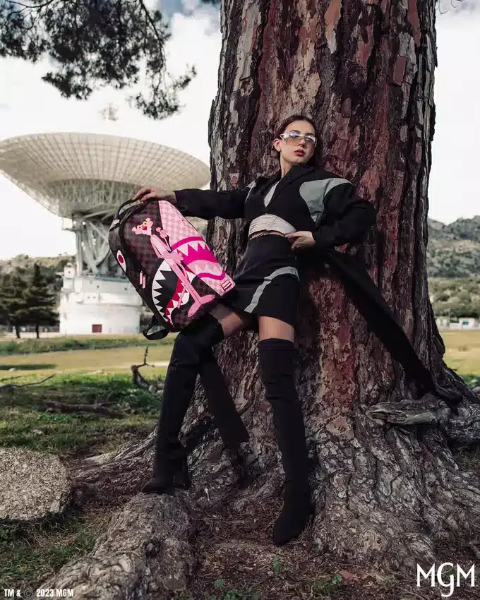 PINK PANTHER THE REVEAL RUCKSACK (DLXV)
