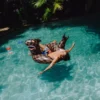 SHARK STASH – POOL-PARTY-SWIMMTIERE