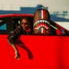 SHARKS IN PARIS GT-RUCKSACK