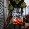 TRANSPARENTER RUCKSACK – MONEY CHOMP