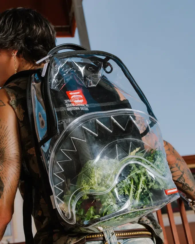 TRANSPARENTER RUCKSACK – SHARK CENTRAL