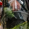 TRANSPARENTER RUCKSACK – SHARK CENTRAL
